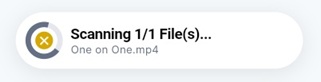 Scanning File.jpg